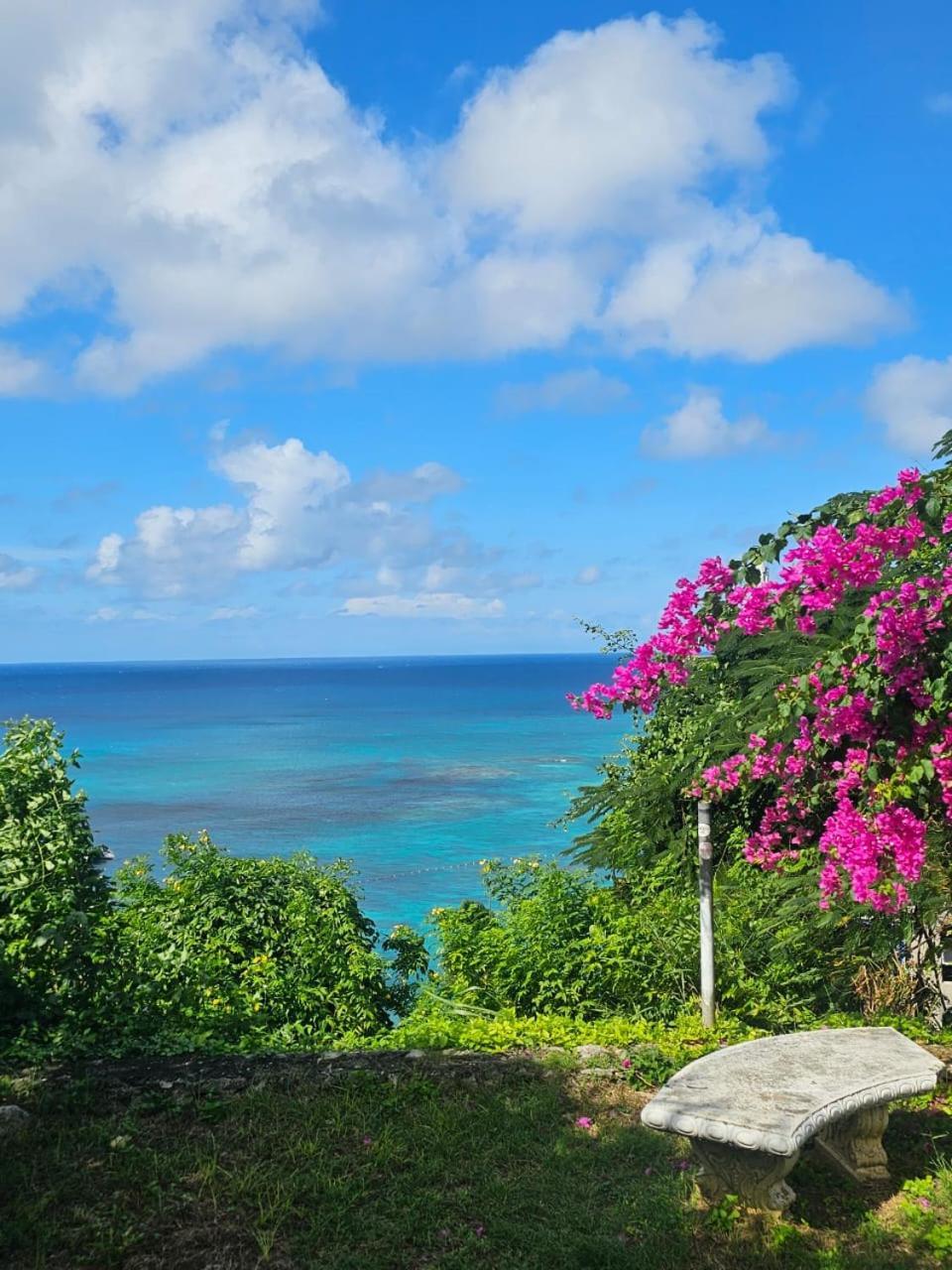 Montego Bay Club Apartments Exteriör bild